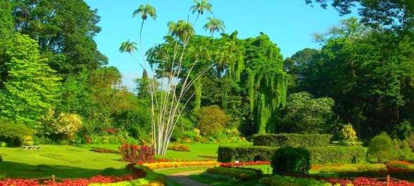 Wellness and Ayurveda Retreat - tranquil garden path